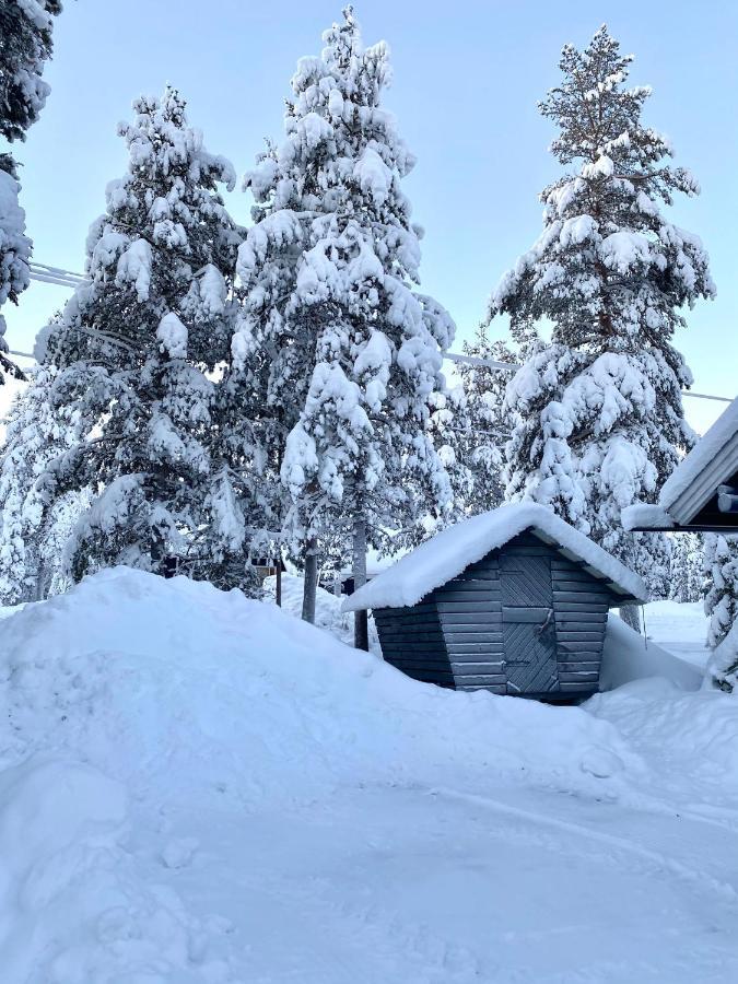 Chalet Liirakka *